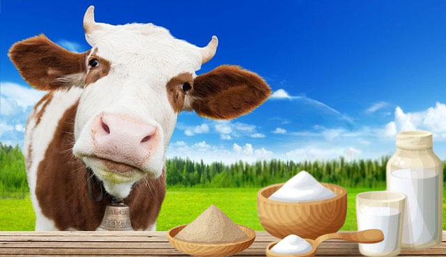 Milchprodukte für gross und klein